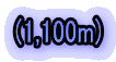 (1,100m)