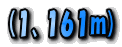 (1161m)